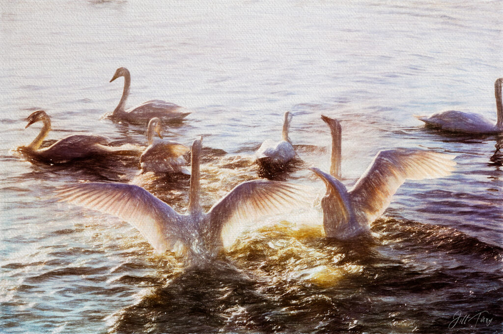 Swan Lake